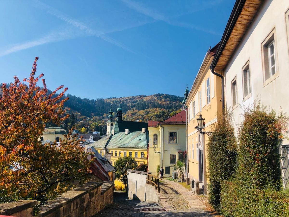Libling Podkrovny Banska Stiavnica Exterior photo